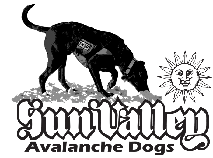 Avalanche Dog Hooded Sweatshirt