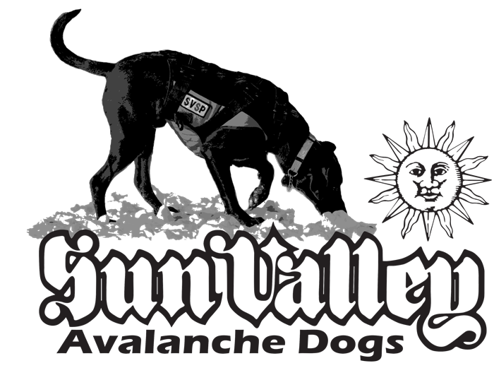 Alternative The Keeper Vintage 50/50 Tee Avalanche Dog